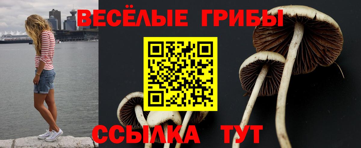 что такое   Псилоцибиновые грибы Magic Shrooms  Вход с VPN  Озёрск 